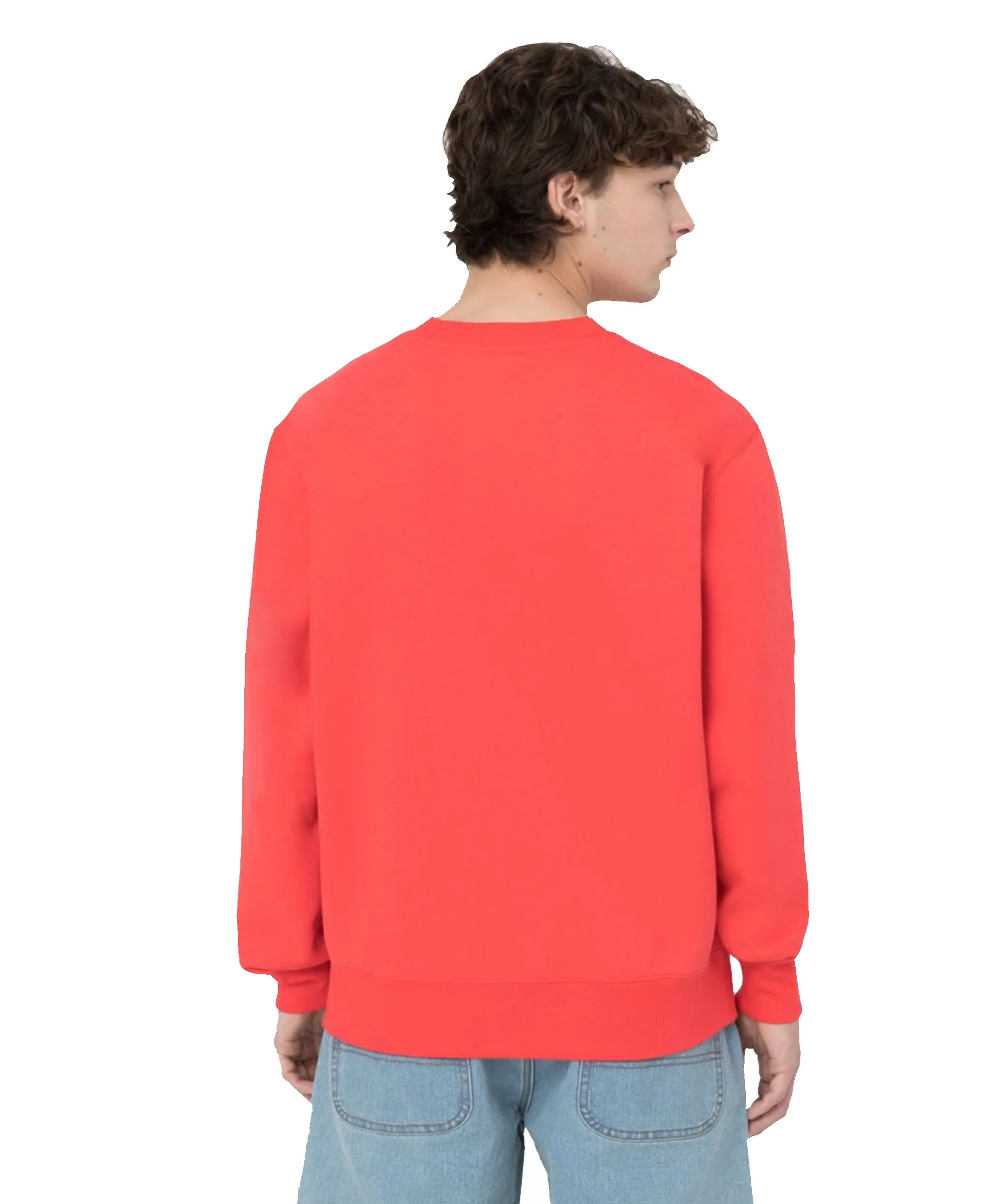 DICKIES SUMMERDAL SWEAT Orange